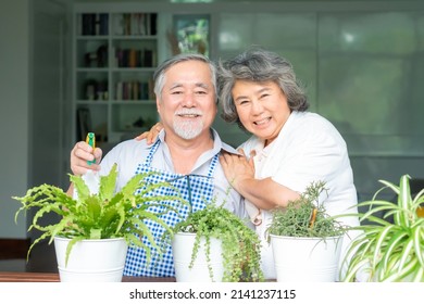 Asian Senior Couple Smile Take Care Of The Plants , Happy Couple Gardening - Lifestyle Senior Planting Trees Concept