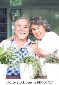 Asian Senior Couple Smile Watering Plants Take Care Of Trees , Happy Couple Gardening - Lifestyle Senior Couple Concept