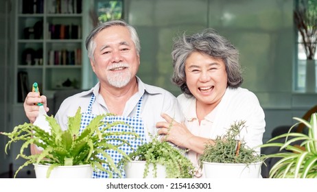 Asian Senior Couple Smile Watering Plants Take Care Of Trees , Happy Couple Gardening - Lifestyle Senior Concept