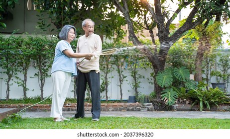 Asian Senior Couple Spending Time Outdoor Gardening Together At Home. Attractive Older Grandparent Use Hose To Watering Plants In The Evening. Elderly People Relationship And Activity In House Concept