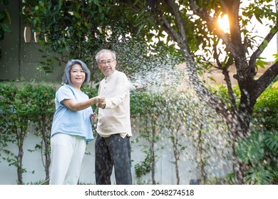 Asian Senior Couple Spending Time Outdoor Gardening Together At Home. Attractive Old Grandparents Use Hose To Watering Plants In The Evening. Elderly People Relationship And Activity In House Concept.