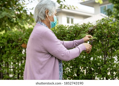 Asian Senior Or Elderly Old Lady Woman Wearing Mask To Taking Care Of The Garden In House, Hobby To Relax And Exercising With Happy.