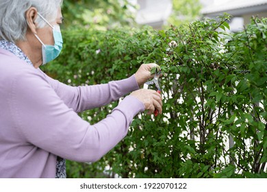 skuffe Opmærksom th Woman Relaxed Nature Images, Stock Photos & Vectors | Shutterstock
