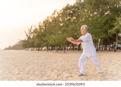 Asian senior man enjoy outdoor lifestyle travel nature ocean on summer holiday vacation. Elderly man do relaxing exercise tai chi, yoga on the beach at sunset. Wellness, health care motivation concept - Powered by Shutterstock