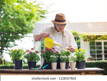 asian senior man holding watering and care plant in his garden, retirement activity - Powered by Shutterstock