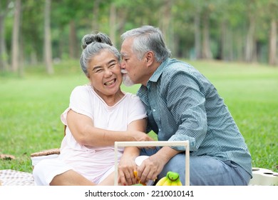 Asian Senior Man Kissing Senior Woman In The Park