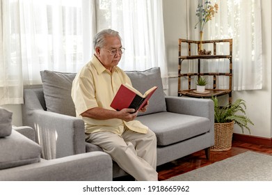 Asian Senior Man Reading Book And Stay Alone At Home. Retirement Age Lifestyle.