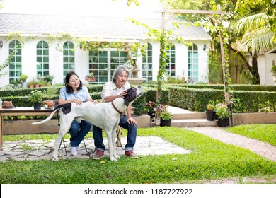 Asian Senior Man And Asian Senior Woman Relax With Dog In Garden, They Smiling And Feeling Happy , Retirement Lifestyle