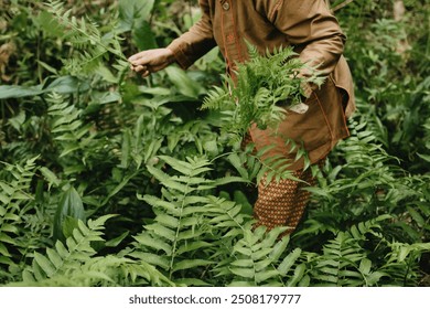 Asian senior woman collecting fresh vegetable or plants for food. Lady farmer collects natural fern in the forest. Images of traditional harvest of wild plants. - Powered by Shutterstock