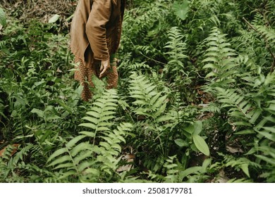 Asian senior woman collecting fresh vegetable or plants for food. Lady farmer collects natural fern in the forest. Images of traditional harvest of wild plants. - Powered by Shutterstock