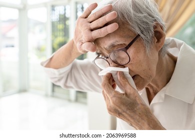 Asian Senior Woman Had Nosebleed,epistaxis,stop Blood Wipe Her Nose With Tissue Paper,touches Forehead With Hand To Check,measure Body Temperature,elderly Having A Cold,catarrhal Fever,nasal Catarrh