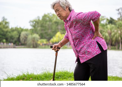 Asian senior woman with hip joint pain while walking,female patient having backache,lumbago pain,hands touching on the hip in outdoor park,elderly people suffering from ribbing pain or waist pain - Shutterstock ID 1485677564