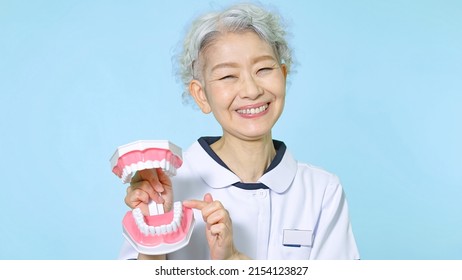 Asian senior woman in a lab coat speaking with a tooth model. - Powered by Shutterstock