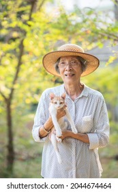 Asian Senior Woman Playing With Cat At Home.pet Lovers And Sustainable Lifestyle Concept