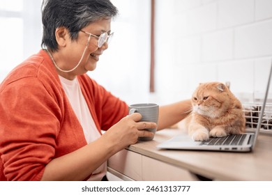 Asian senior woman stroking and playing with domestic cat in house. Attractive elderly mature female grandparent sitting on table, spend free leisure time with her Persian pet kitty in living room. - Powered by Shutterstock