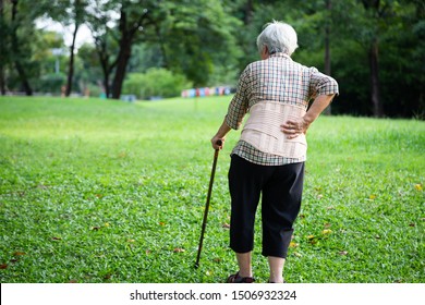 Asian Senior Woman Wearing Back Support Belt For Protect Her Back Pain,muscle Injury,elderly People Hand Touching On The Hip Having Lumbago Pain,backache,suffering From Waist Pain,health Care Concept