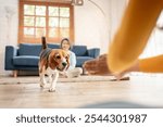 Asian senior woman and young daughter playing with beagle dog at home. Attractive family feeling happy and relax, enjoy spend leisure time and practice her lovely pet puppy running to owner in house.