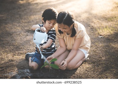 Asian sibling watering young tree on summer day ภาพถ่ายสต็อก