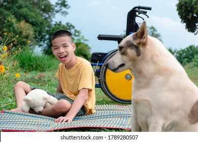 Asian Special Child Playing On Picnic Mat Happily With His Pet Near The Wheelchair,Green Nature Background,Natural Therapy,Life In The Education Age Of Disabled Children, Happy Disability Kid Concept.