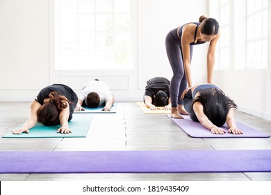 Asian sporty people learning Yoga class in fitness club. Instructor coaching and adjust correct pose on child pose to student. Yoga Practice Work out fitness healthy lifestyle concept. - Powered by Shutterstock