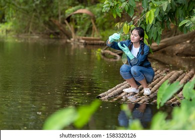 Asian Student Biology Taking And Testing Sample Of Natural River Water. Experts Science Women Keep Water For Research Analysis In The Laboratory. Environmental Pollution Concept
