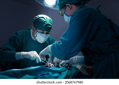 Asian Surgical Team Performing Surgery In The Hospital Operating Room