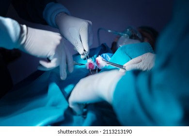 Asian Surgical Team Performing Surgery In The Hospital Operating Room