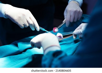 Asian Surgical Team Performing Surgery In The Hospital Operating Room