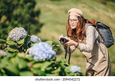 Asian tourist woman trying to take a photos of Hydrangea flowers in rural of Chiang Rai province, Thailand. Hydrangeas are popular shrubs with colorful flowers.