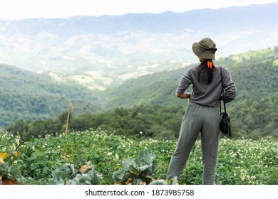 Asian Tourist Women Stand Back, Freshen Up Enjoying The Morning Mountain Atmosphere.