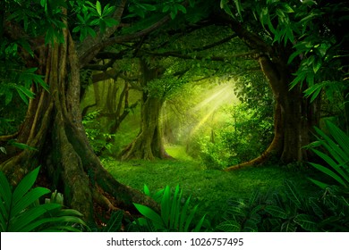 Asian tropical rainforest - Shutterstock ID 1026757495