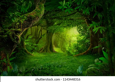 Asian tropical rainforest - Shutterstock ID 1143448316