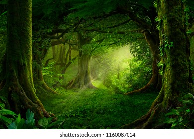 Asian tropical rainforest - Shutterstock ID 1160087014