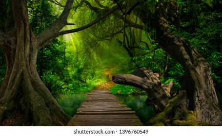 Asian tropical rainforest with river and big tree - Shutterstock ID 1396760549