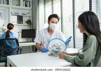 Asian Veterinarian Examine Cat During Appointment In Veterinary Clinic. Professional Vet Doctor Male Sit On Table With Stethoscope Working And Check On Little Animal With Kitten Owner In Pet Hospital.