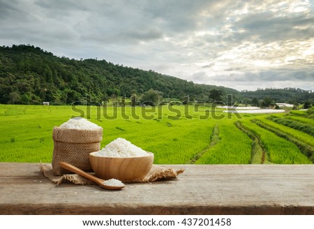 Asian white rice uncooked with the rice field background