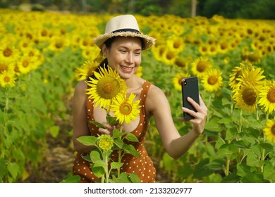 Asian Woman 40s LGBT Transgender Express Feeling Happy Smile Mobile Selfie Under Sunshine Sunflower Yellow Flower Field Over Blue Sky Mountain. Female Poses For Fashion Shooting In Outdoors Landscape