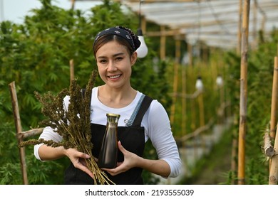 An Asian Woman Agriculturist, Farmer Or Gardener, Entrepreneur Of Cannabis Farm Present Bottles Of Cannabis-derived Beverage Product.