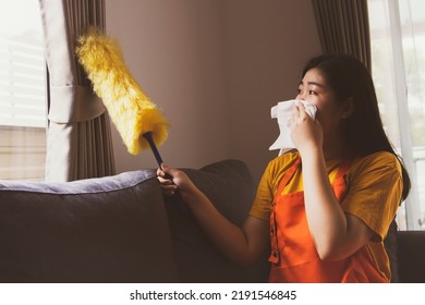 Asian Woman Doing Housework Uses Dusting Sticks To Dust The Window Blinds That Are So Dirty And Dusty That She Has To Cover Her Nose With Toilet Paper To Prevent Allergies And Sneezes.