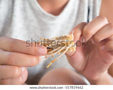 Asian woman eating seafood and put a shrimp into her mouth.
