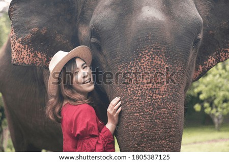 Asian woman enjoying with elephant at Chiang Mai province Thailand.