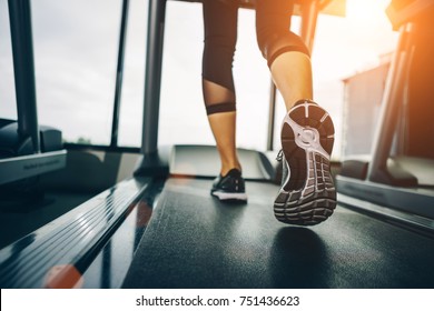 Asian Woman Exercising In The Gym, Young Woman Workout In Fitness For Her Healthy And Office Girl Lifestyle.