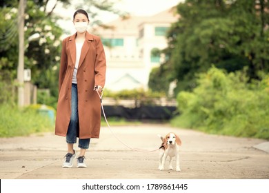  Asian Woman With Face Mask And Takes His Dog For A Walk