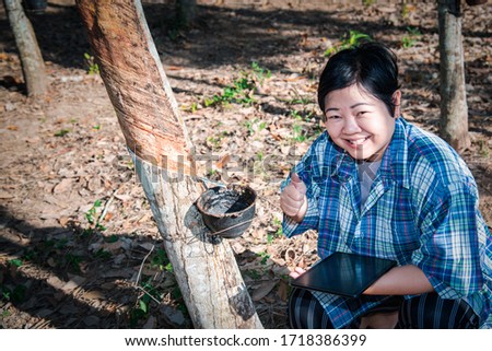 Asian woman farmer agriculturist happy at a rubber tree plantation with Rubber tree in row natural latex is a agriculture harvesting natural rubber in white milk color for industry in Thailand