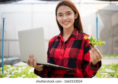 Asian woman farmer using tablet and notebook for inspecting the quality of organic vegetables grown using hydroponics.