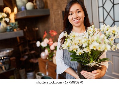 Asian Woman As A Florist With A Houseplant For A Delivery