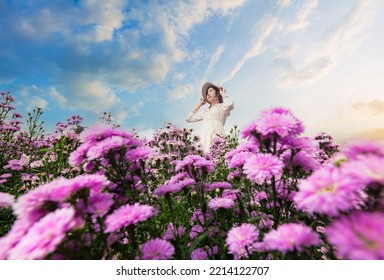 Asian Woman And Flower Field,Beautiful Asian Girl Taking Pictures In A Flower Farm. Happily In Chiang Mai, Thailand