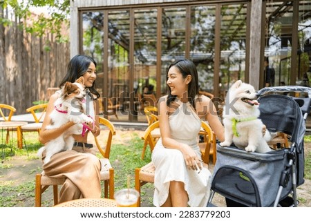 Asian woman friends with her dogs having fun urban outdoor activity lifestyle playing together during meeting party at pets friendly dog park cafe on summer vacation. Pets ownership community concept.