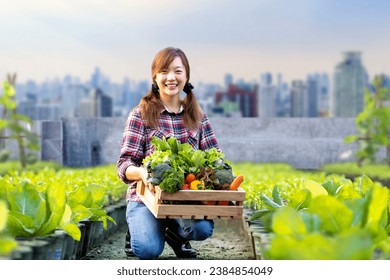 Asian woman gardener is harvesting organics vegetable while working at rooftop urban farming futuristic city sustainable gardening on limited space to reduce carbon footprint and food security - Powered by Shutterstock