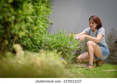 An Asian Woman Gardener Is Pruning Plants In The Garden.